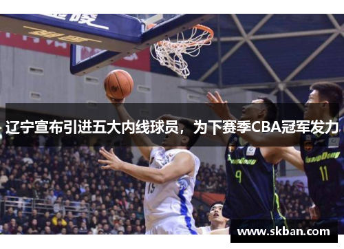 辽宁宣布引进五大内线球员，为下赛季CBA冠军发力