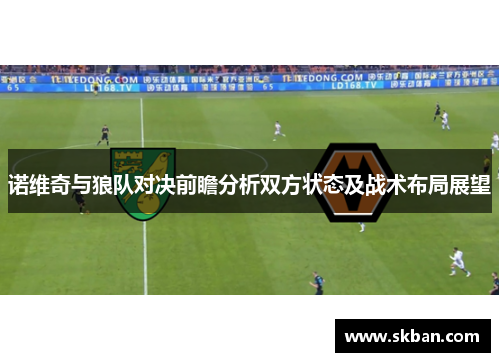 诺维奇与狼队对决前瞻分析双方状态及战术布局展望