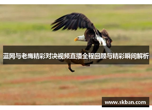 蓝网与老鹰精彩对决视频直播全程回顾与精彩瞬间解析